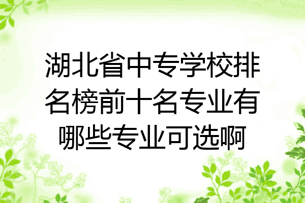湖北省中专学校排名榜前十名专业有哪些专业可选啊