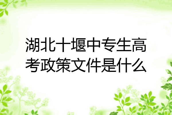 湖北十堰中专生高考政策文件是什么