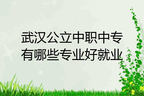 武汉公立中职中专有哪些专业好就业
