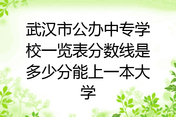 武汉市公办中专学校一览表分数线是多少分能上一本大学