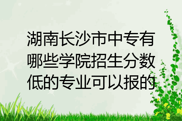 湖南长沙市中专有哪些学院招生分数低的专业可以报的