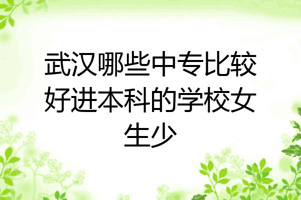 武汉哪些中专比较好进本科的学校女生少