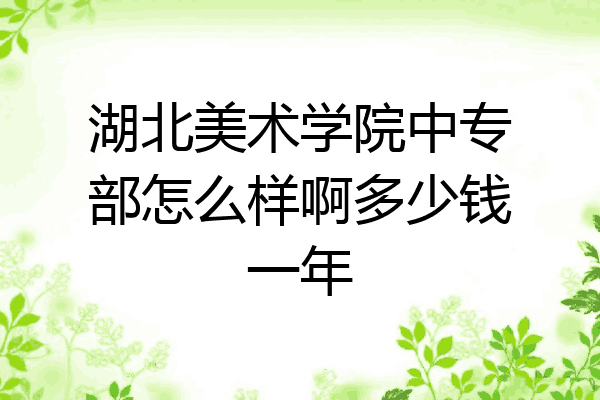 湖北美术学院中专部怎么样啊多少钱一年