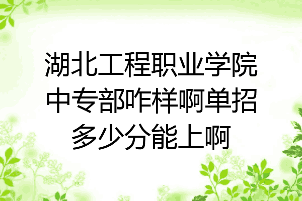 湖北工程职业学院中专部咋样啊单招多少分能上啊
