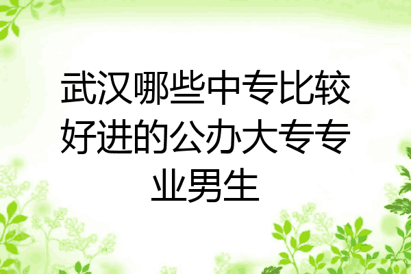 武汉哪些中专比较好进的公办大专专业男生