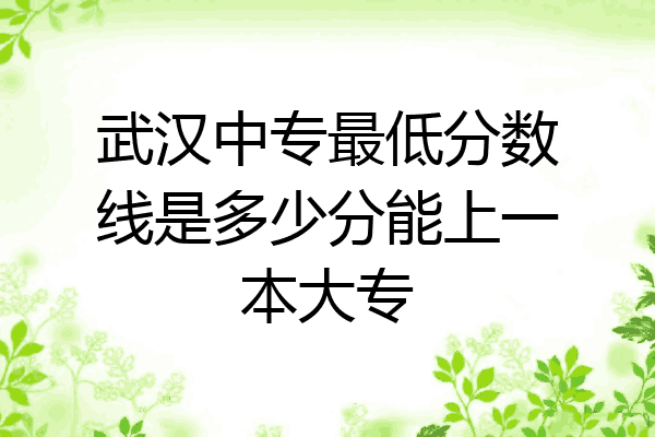 武汉中专最低分数线是多少分能上一本大专