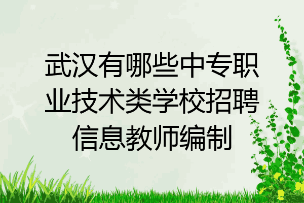 武汉有哪些中专职业技术类学校招聘信息教师编制
