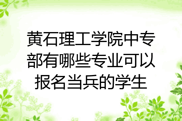黄石理工学院中专部有哪些专业可以报名当兵的学生
