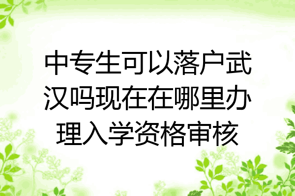 中专生可以落户武汉吗现在在哪里办理入学资格审核