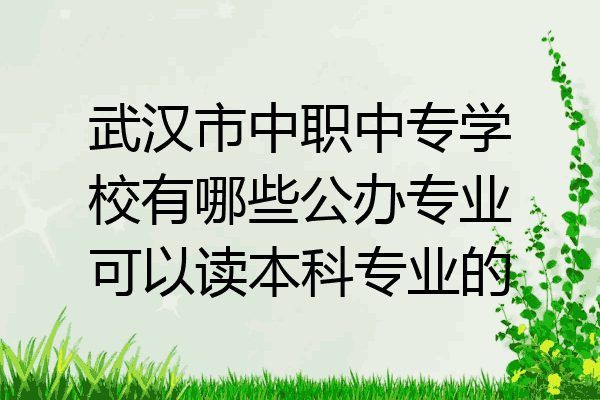 武汉市中职中专学校有哪些公办专业可以读本科专业的