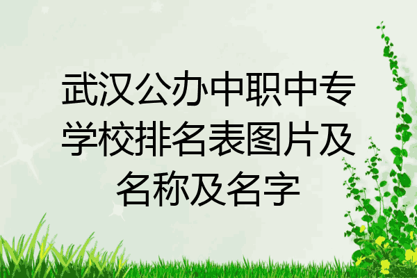 武汉公办中职中专学校排名表图片及名称及名字