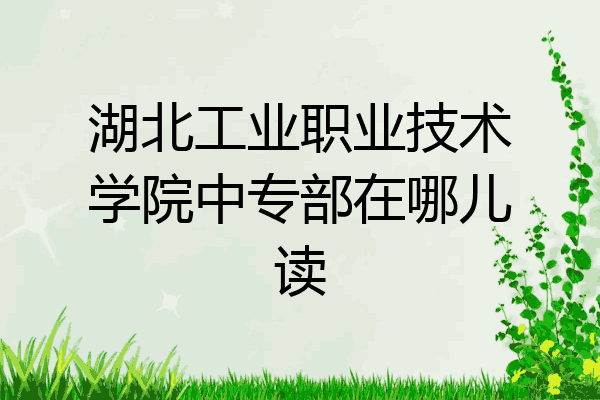 湖北工业职业技术学院中专部在哪儿读