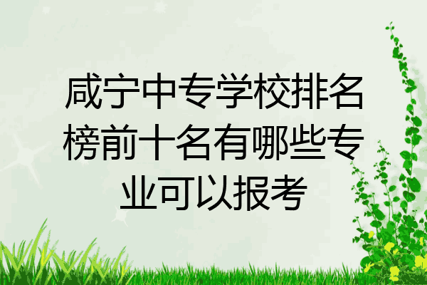 咸宁中专学校排名榜前十名有哪些专业可以报考