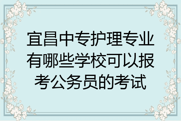 宜昌中专护理专业有哪些学校可以报考公务员的考试