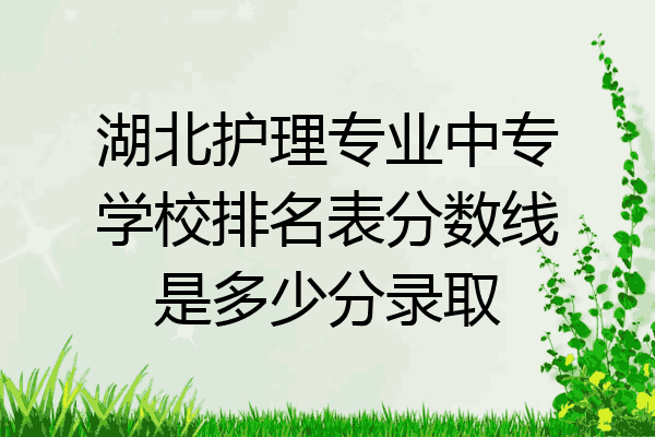 湖北护理专业中专学校排名表分数线是多少分录取