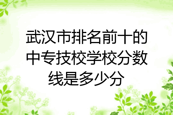 武汉市排名前十的中专技校学校分数线是多少分