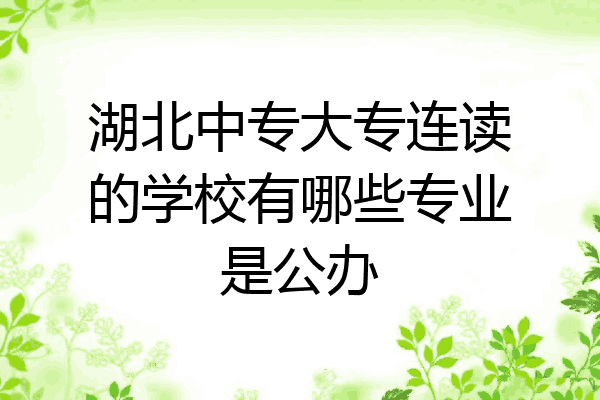 湖北中专大专连读的学校有哪些专业是公办