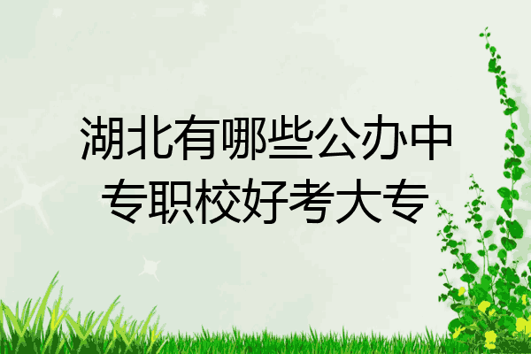湖北有哪些公办中专职校好考大专