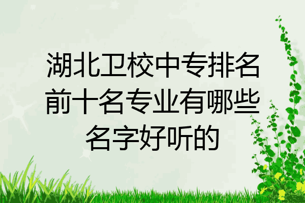 湖北卫校中专排名前十名专业有哪些名字好听的