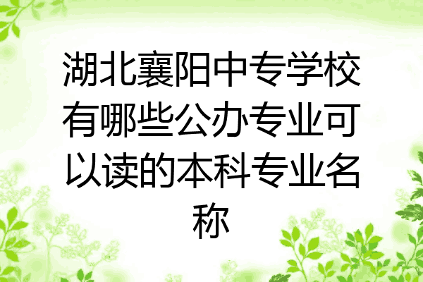 湖北襄阳中专学校有哪些公办专业可以读的本科专业名称
