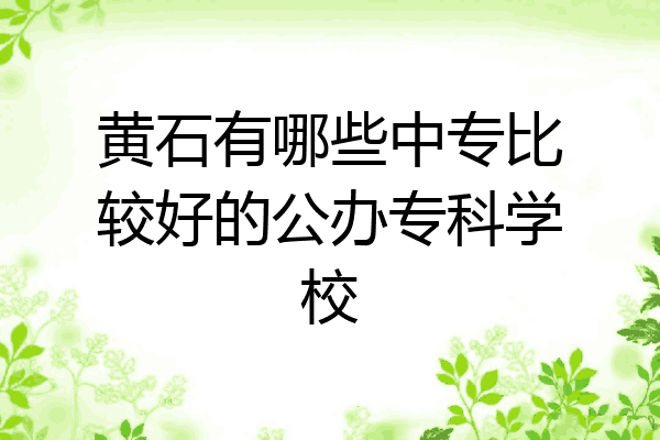 黄石有哪些中专比较好的公办专科学校