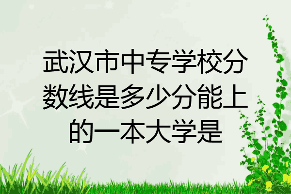 武汉市中专学校分数线是多少分能上的一本大学是