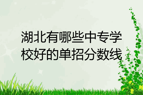 湖北有哪些中专学校好的单招分数线