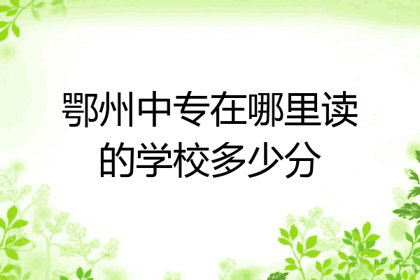 鄂州中专在哪里读的学校多少分