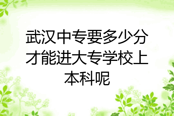 武汉中专要多少分才能进大专学校上本科呢