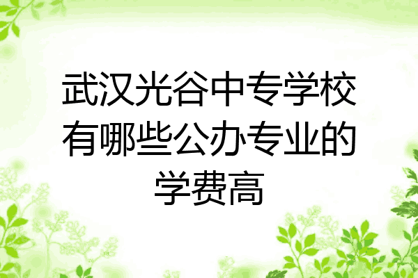 武汉光谷中专学校有哪些公办专业的学费高
