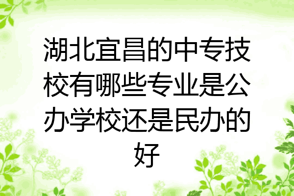 湖北宜昌的中专技校有哪些专业是公办学校还是民办的好
