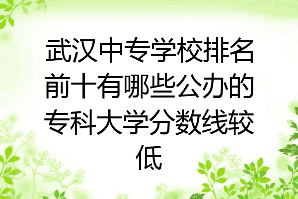 武汉中专学校排名前十有哪些公办的专科大学分数线较低