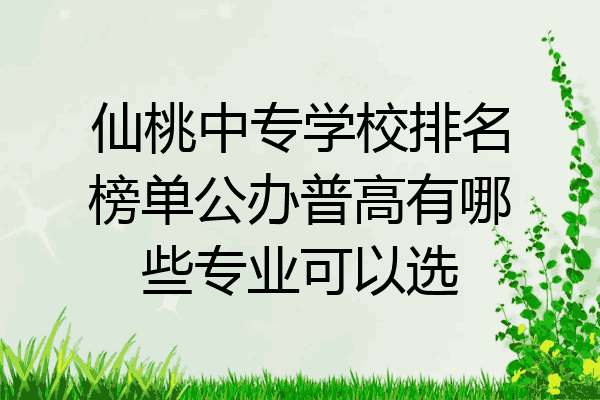 仙桃中专学校排名榜单公办普高有哪些专业可以选