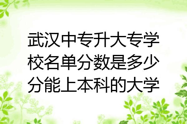 武汉中专升大专学校名单分数是多少分能上本科的大学