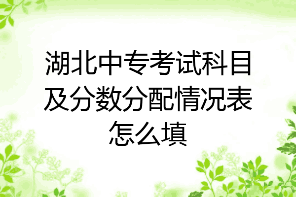 湖北中专考试科目及分数分配情况表怎么填