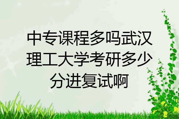 中专课程多吗武汉理工大学考研多少分进复试啊