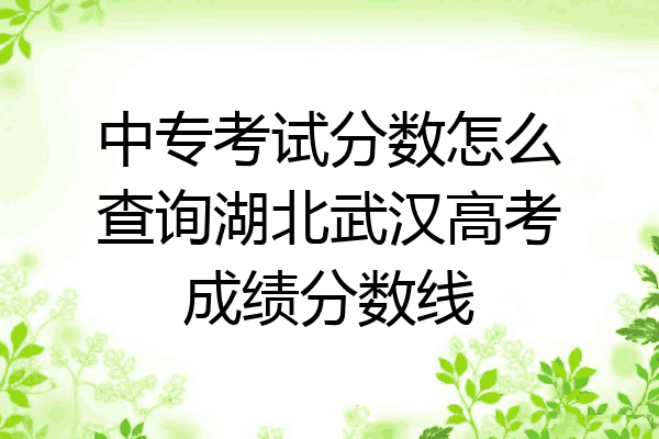 中专考试分数怎么查询湖北武汉高考成绩分数线