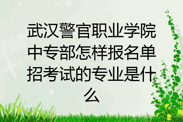 武汉警官职业学院中专部怎样报名单招考试的专业是什么