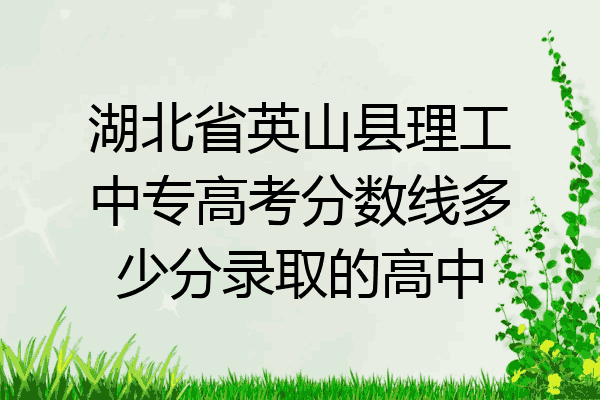 湖北省英山县理工中专高考分数线多少分录取的高中