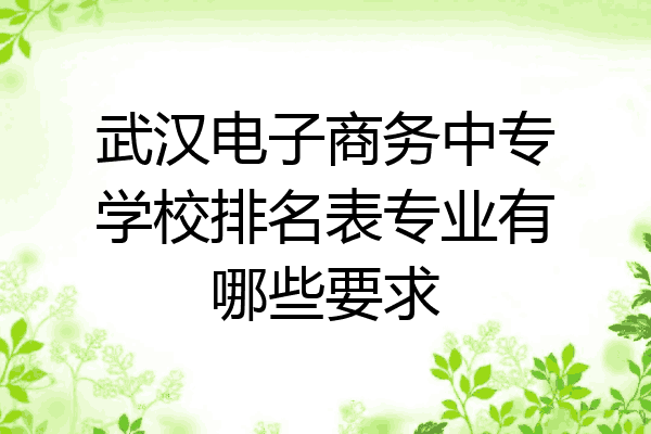 武汉电子商务中专学校排名表专业有哪些要求
