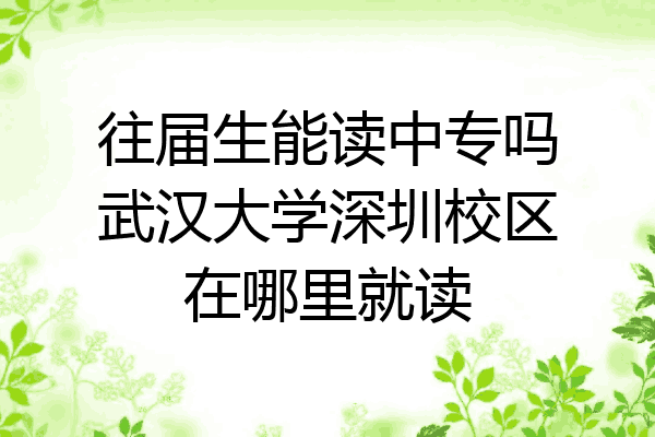 往届生能读中专吗武汉大学深圳校区在哪里就读