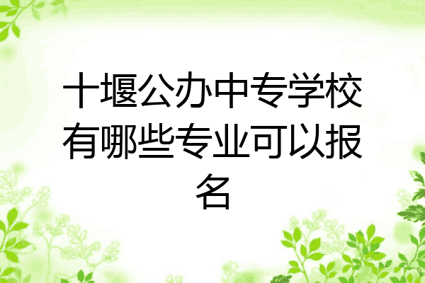 十堰公办中专学校有哪些专业可以报名