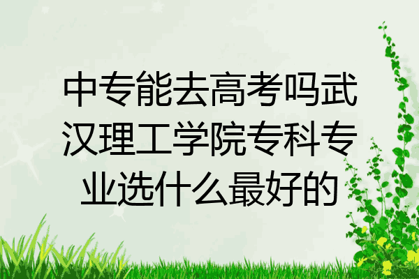 中专能去高考吗武汉理工学院专科专业选什么最好的