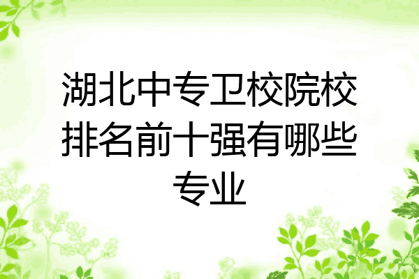 湖北中专卫校院校排名前十强有哪些专业