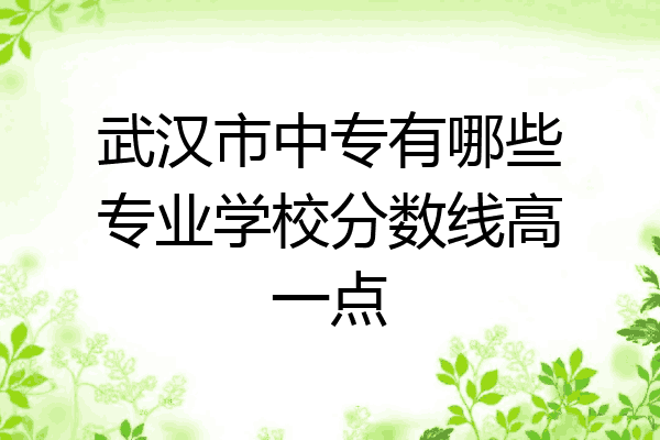 武汉市中专有哪些专业学校分数线高一点