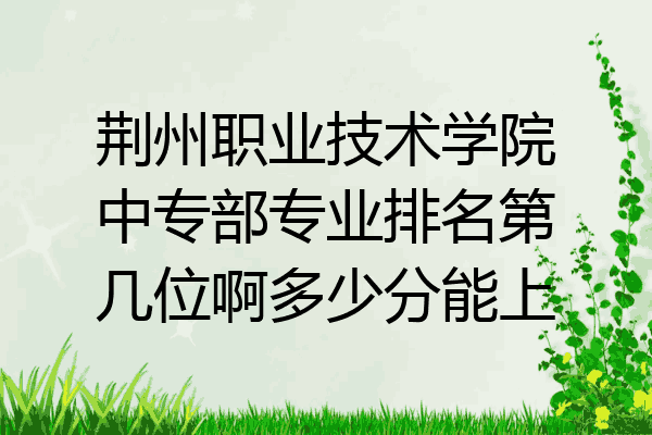 荆州职业技术学院中专部专业排名第几位啊多少分能上