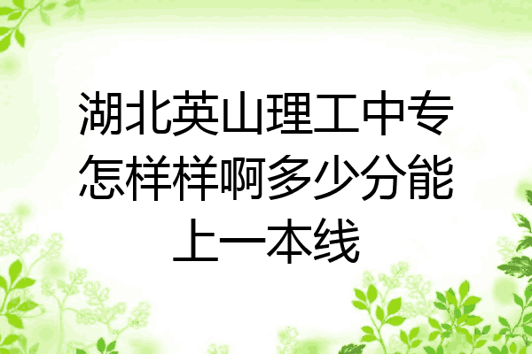 湖北英山理工中专怎样样啊多少分能上一本线