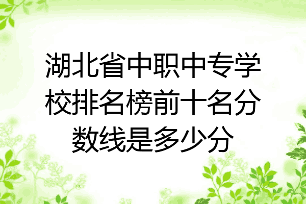 湖北省中职中专学校排名榜前十名分数线是多少分
