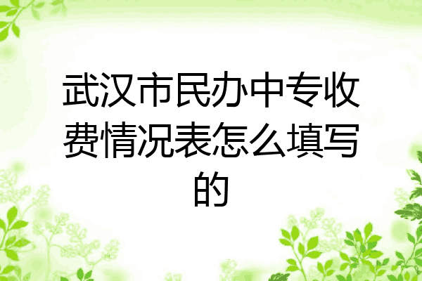 武汉市民办中专收费情况表怎么填写的