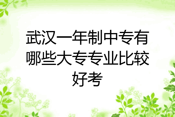 武汉一年制中专有哪些大专专业比较好考